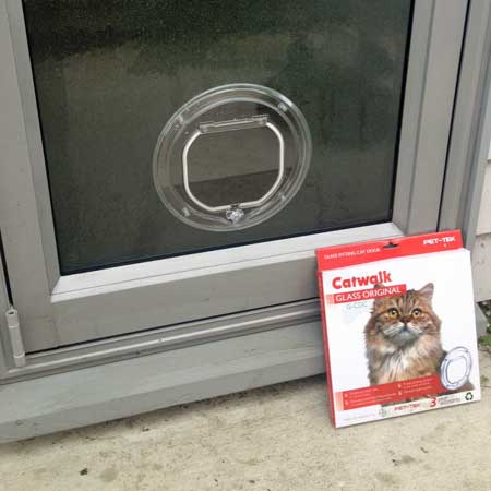 cat door glass